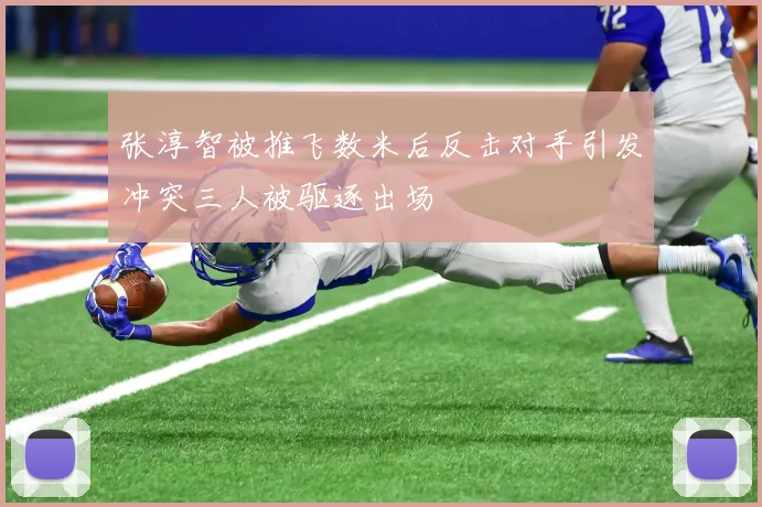 张淳智被推飞数米后反击对手引发冲突三人被驱逐出场